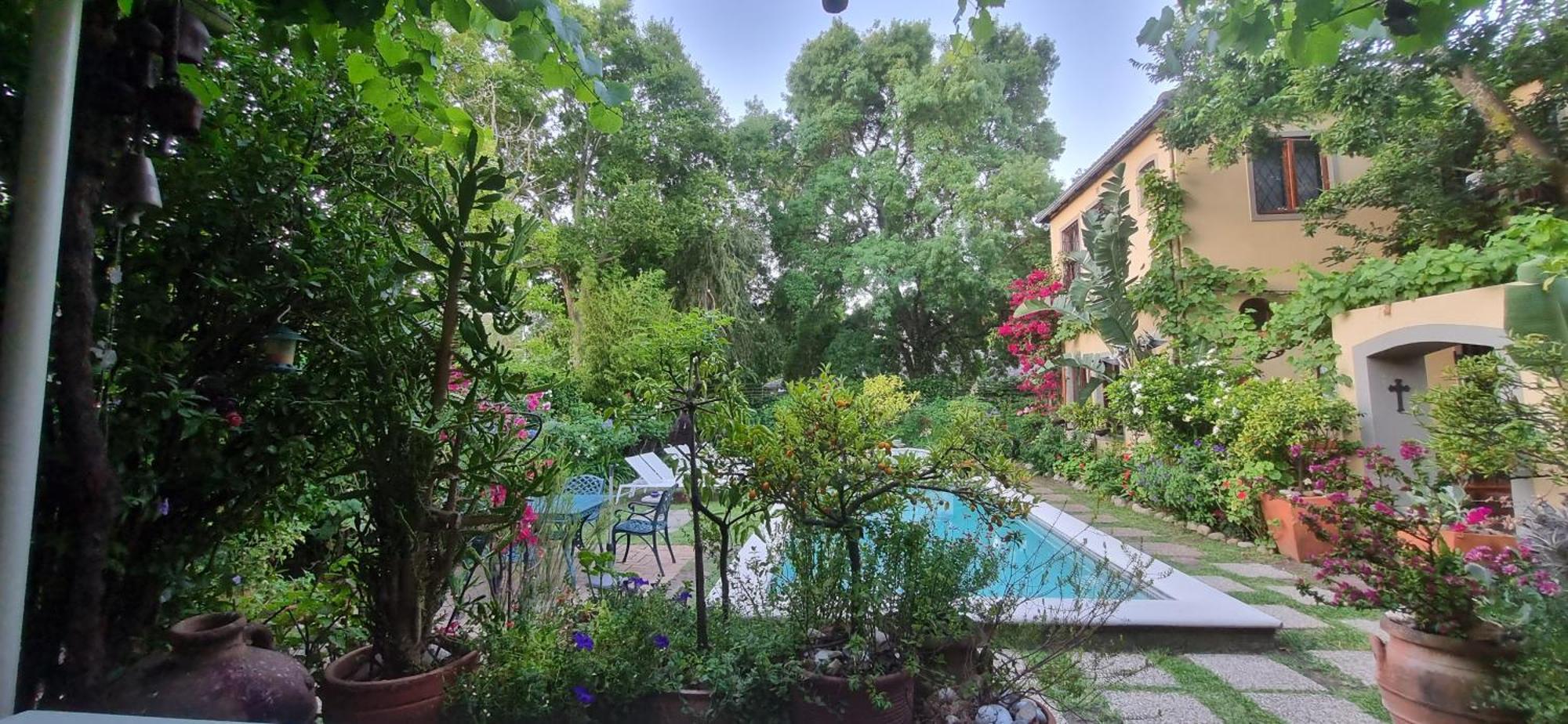 10 Alexander B&B Stellenbosch Exteriör bild