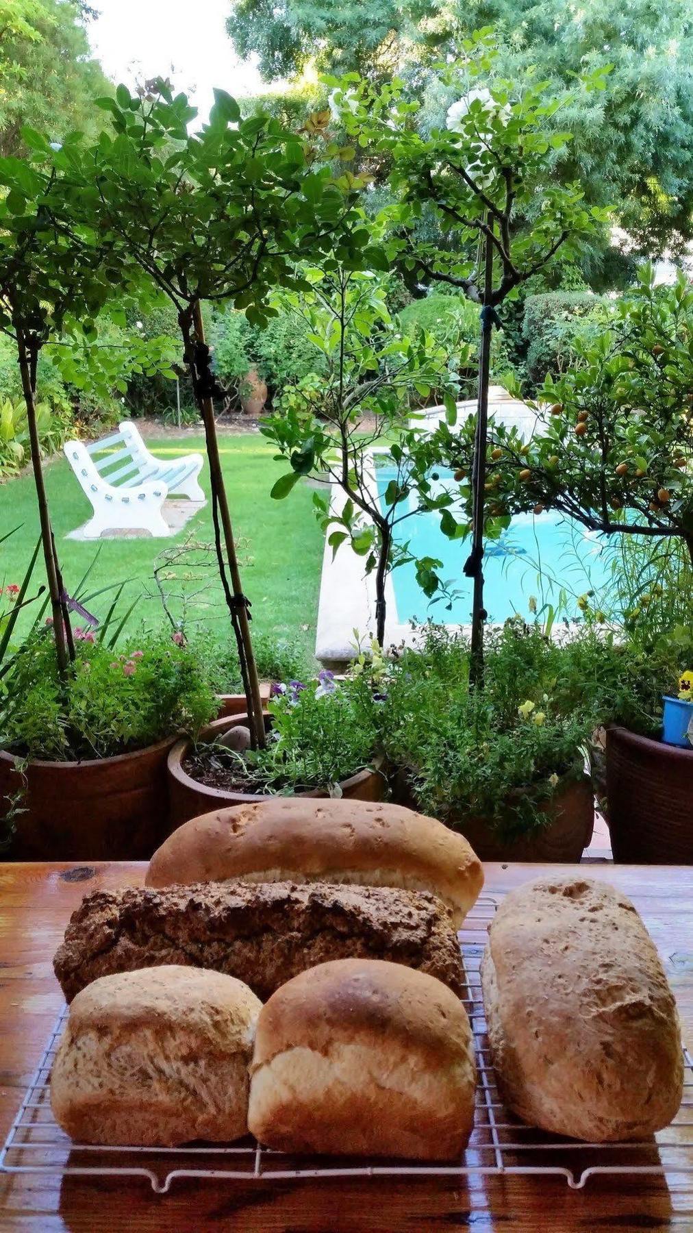 10 Alexander B&B Stellenbosch Exteriör bild