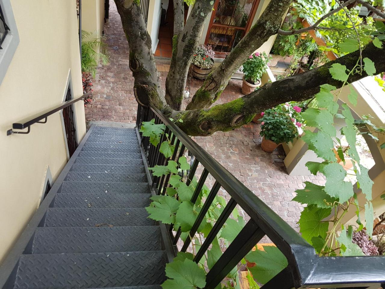 10 Alexander B&B Stellenbosch Exteriör bild
